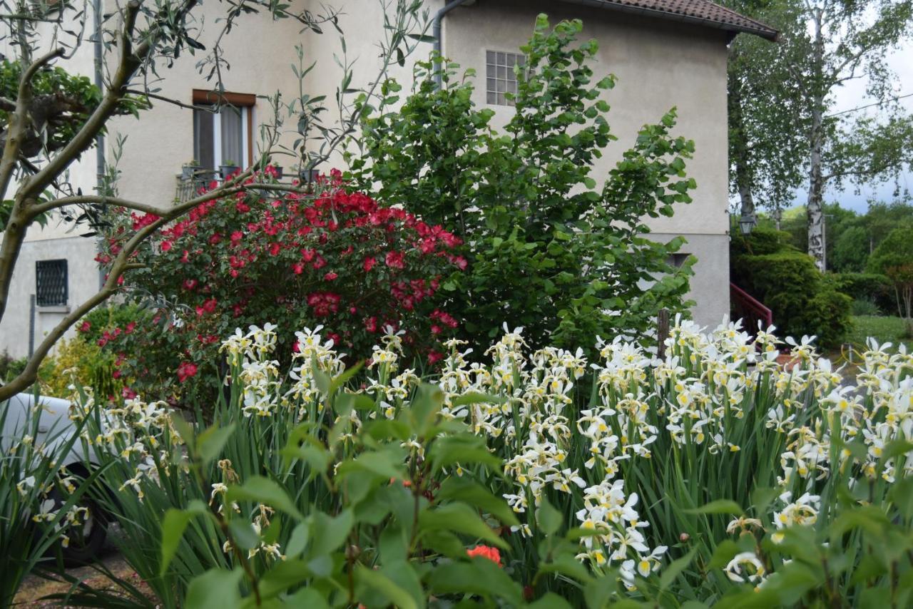 Bed and Breakfast Le Nid De L'Ecureuil Brens  Exteriér fotografie